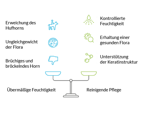 Huf Pferd Horn Pflege